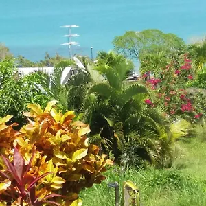 Des Raisiniers , Trinité (Tartane) Martinique